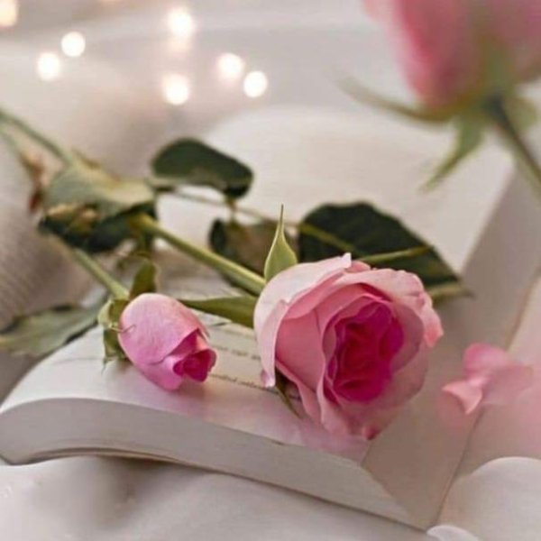 💗🩷✍🏻خاموش_الفاظ❤️🖇️🖤