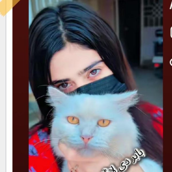 ہم نے تو محبت کی ہے کسی سے وفا تو نہیں کی ہے نا