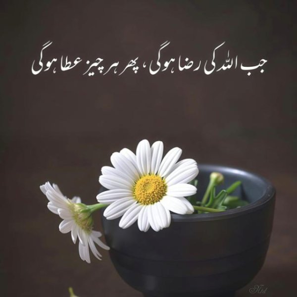 💓Mãrî Zâñdãgî Håî Tû💓