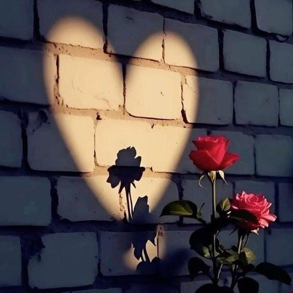نيــڪ ہـمـسفــر💕