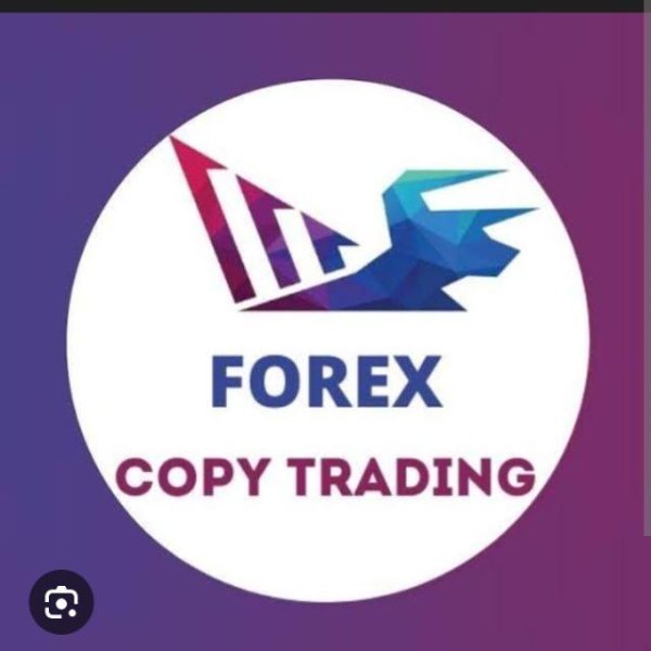 FOREX COPY TRADING.