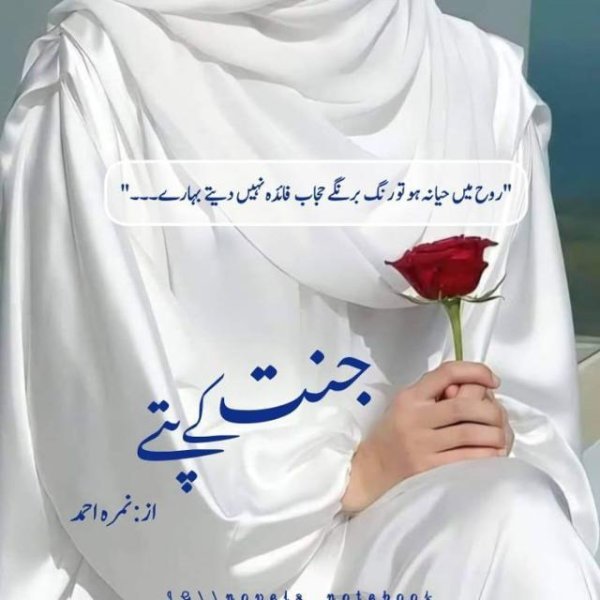 Urdu Novels( اُردو ناولز )Pdf Link