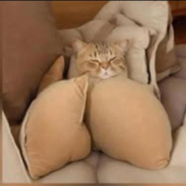 🔞👉🔥اه اه كسي🔥عيزا فحل🔥🔞👉