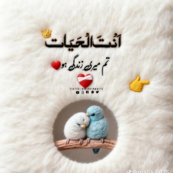 Friend ❤️ ship